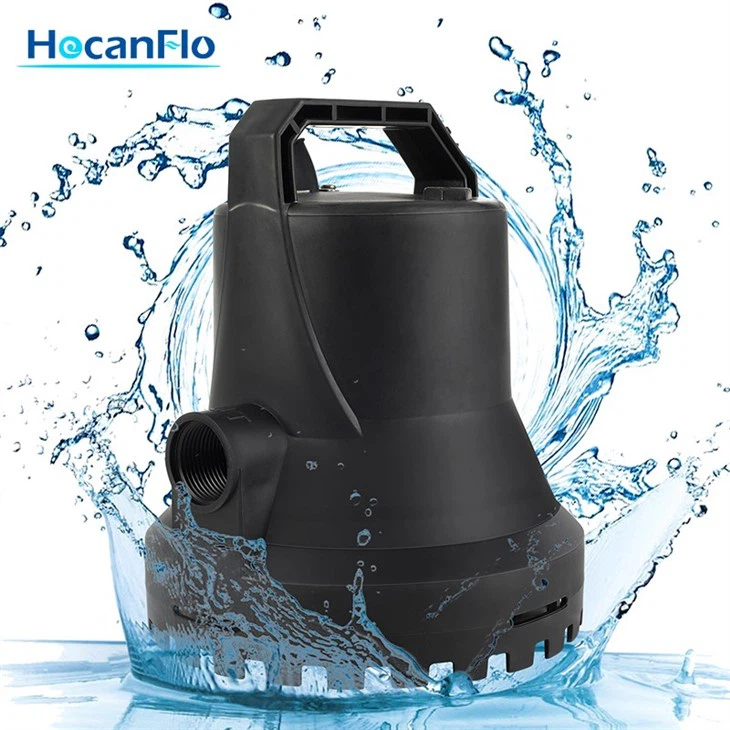 Small Pond Pump